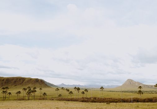 Chapada dos Veadeiros