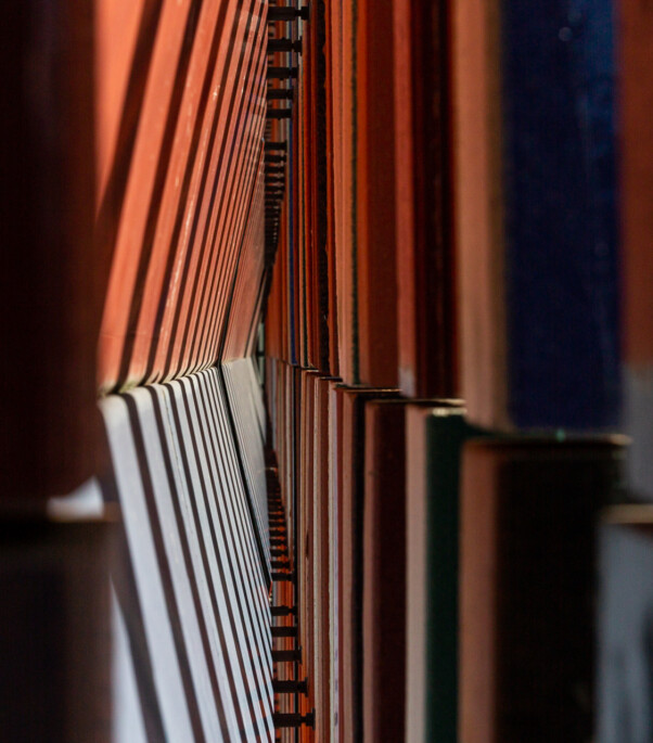 Um olhar sobre o Museu Brandhorst | Munique